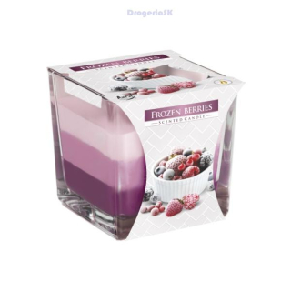 BISPOL -arom.sviečka /snk80-314 Frozen berries 32h